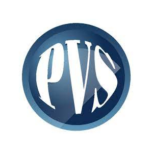 PVS - Top Real Estate Valuation Services Companies PVS